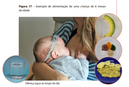 Imagem retirada do Guia Alimentar para Crianças Brasileiras Menores de 2 Anos. Página 49.