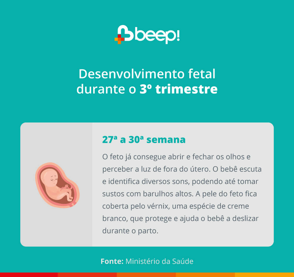 Desenvolvimento fetal durante o 3º trimestre. Veja em detalhes: 27ª a 30ª semana: o feto já consegue abrir e fechar os olhos e perceber a luz de fora do útero.  O bebê escuta e identifica diversos sons, podendo até tomar sustos com barulhos altos.  A pele do feto fica coberta pelo vérnix, uma espécie de creme branco, que protege e ajuda o bebê a deslizar durante o parto.