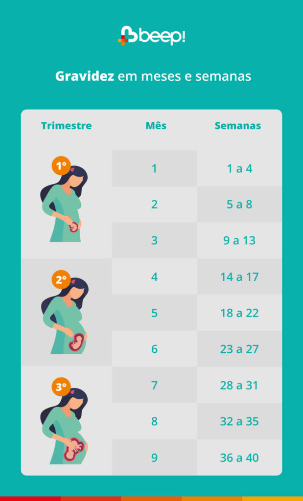 Uma tabela com a relação entre trimestre, meses e semanas de gravidez, de acordo com o calendário de gestação 