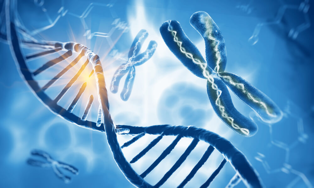 Ilustração que mostra uma molécula de DNA e um cromossomo livre, representando o post sobre a Síndrome de Patau.
