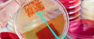 Aprenda tudo sobre a Meningite Bacteriana