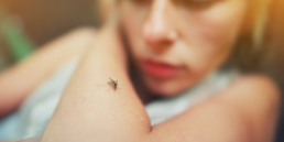Mulher olhando para o braço que está com um mosquito Aedes Aegypti., a imagem ilustra o post o que é dengue.