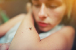Mulher olhando para o braço que está com um mosquito Aedes Aegypti., a imagem ilustra o post o que é dengue.