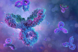 Imagem microscópica dos anticorpos e imunoglobulinas. Essa imagem ilustra o post sobre quais são as doenças autoimunes