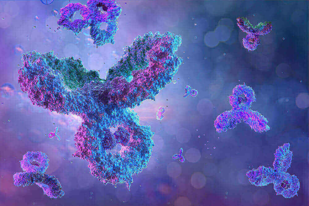 Imagem microscópica dos anticorpos e imunoglobulinas. Essa imagem ilustra o post sobre quais são as doenças autoimunes