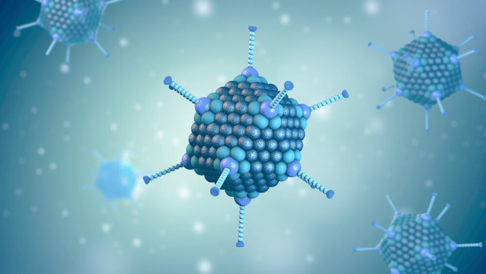 Ilustração mostra um adenovírus em 3D. 