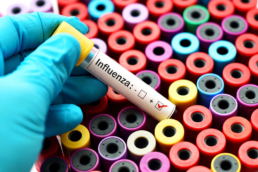 Imagem mostra tubos de exame e um tubo em destaque sinalizando exame de influenza